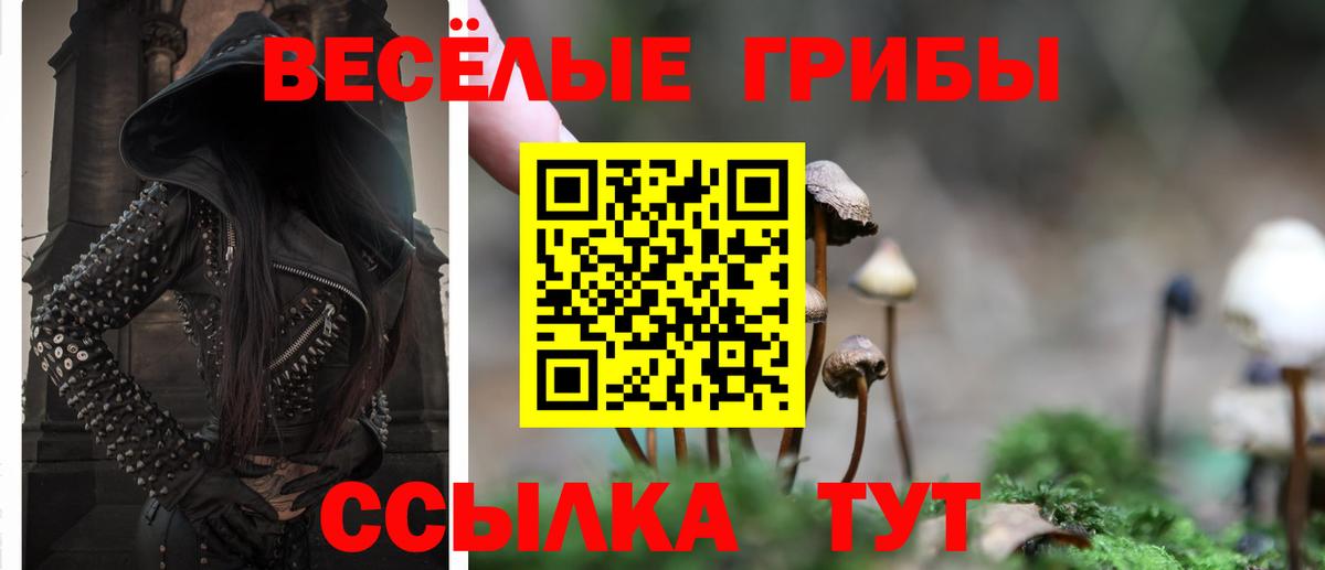 Псилоцибиновые грибы Magic Shrooms Городец